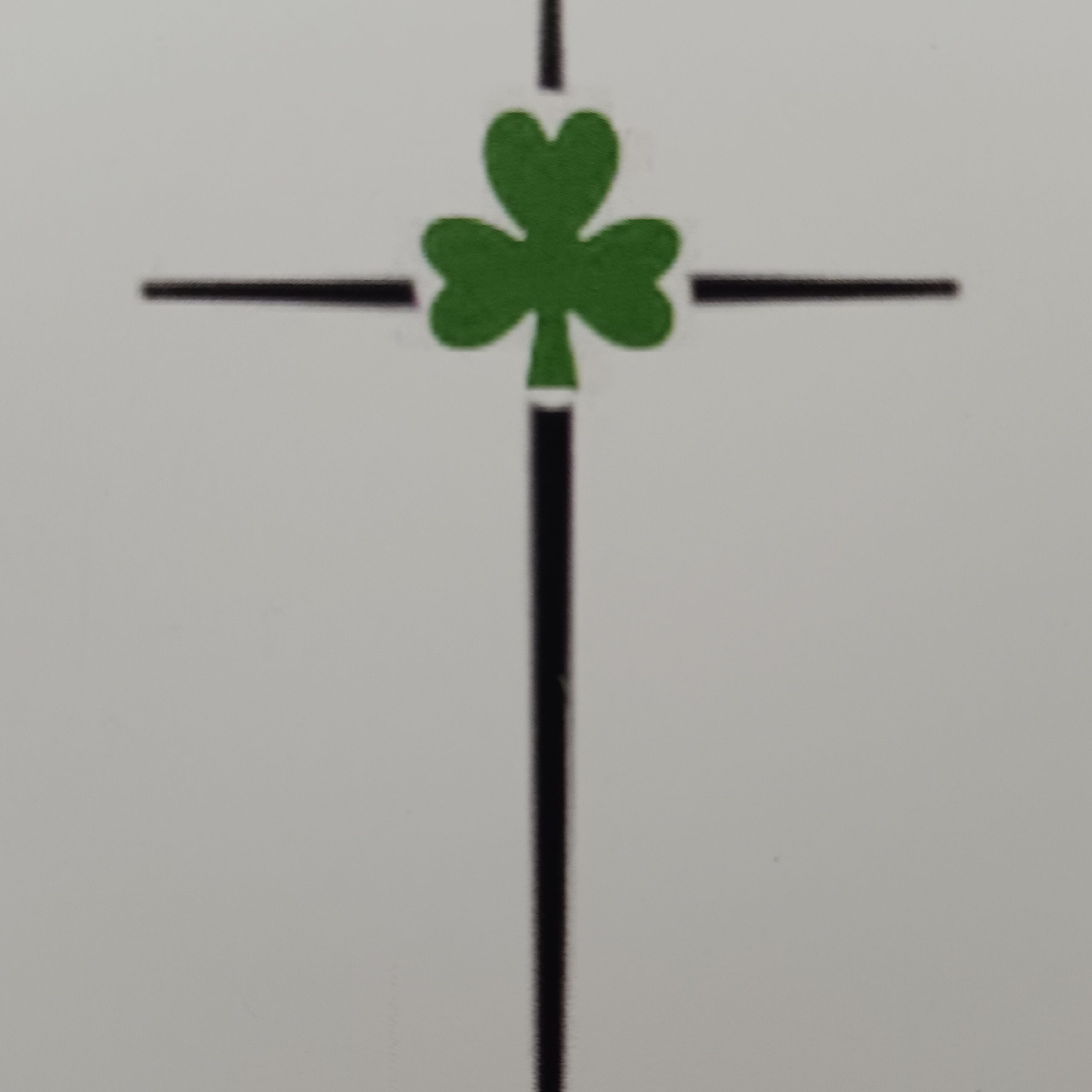 The Irish Landscaper: landscape maintenance & pressure washing
