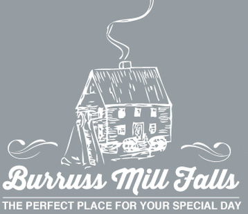 Burruss Mill Falls