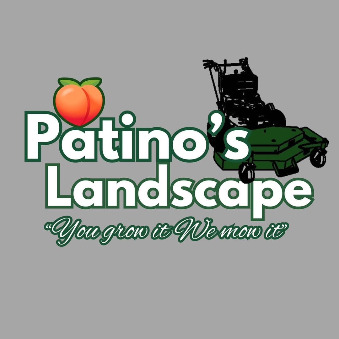 Patino’s Landscape