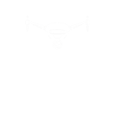 Georgia Drone Pilots